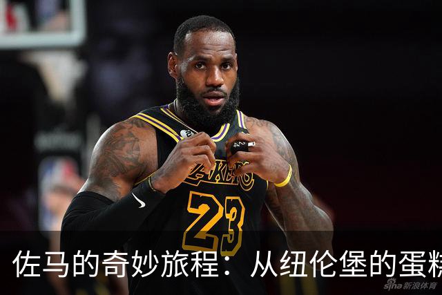 佐马的奇妙旅程：从纽伦堡的蛋糕到蓝衣军团的荣耀