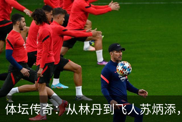 体坛传奇：从林丹到飞人苏炳添，他们如何书写辉煌